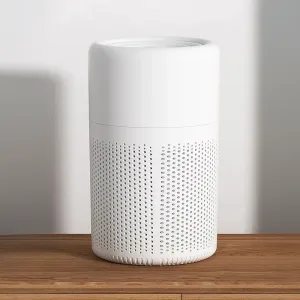 whole house air purifier, air purifier with aromatherapy, odour remover, negative ion air purifier, negative ion generator, home hepa filter